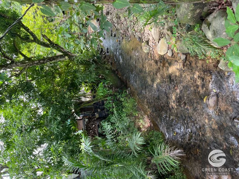 4.3-Acre Riverfront Oasis with Pond and Versatile Commercial/Residential Structure in Quepos — view 11, Londres, Quepos, Costa Rica