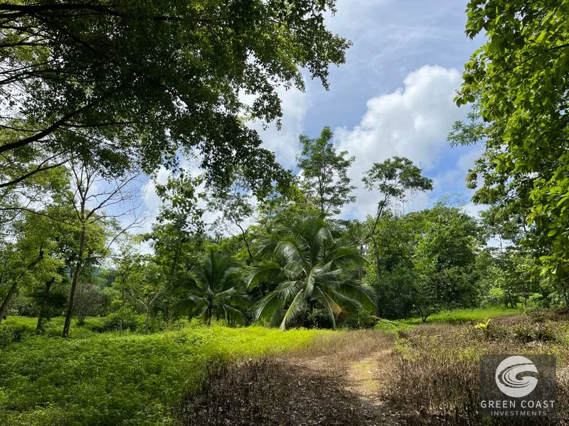 4.3-Acre Riverfront Oasis with Pond and Versatile Commercial/Residential Structure in Quepos — view 14, Londres, Quepos, Costa Rica