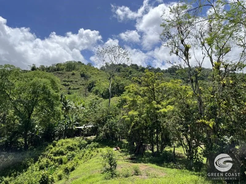 95-Acre Mountain Haven Near Hot Springs with Creeks and Panoramic Views — view 2, Savegre, Quepos, Costa Rica