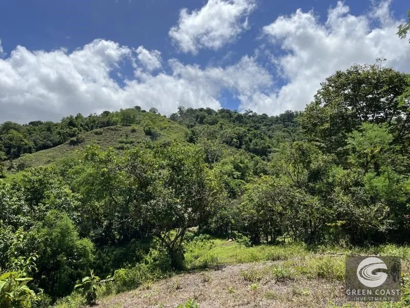 95-Acre Mountain Haven Near Hot Springs with Creeks and Panoramic Views — view 3, Savegre, Quepos, Costa Rica