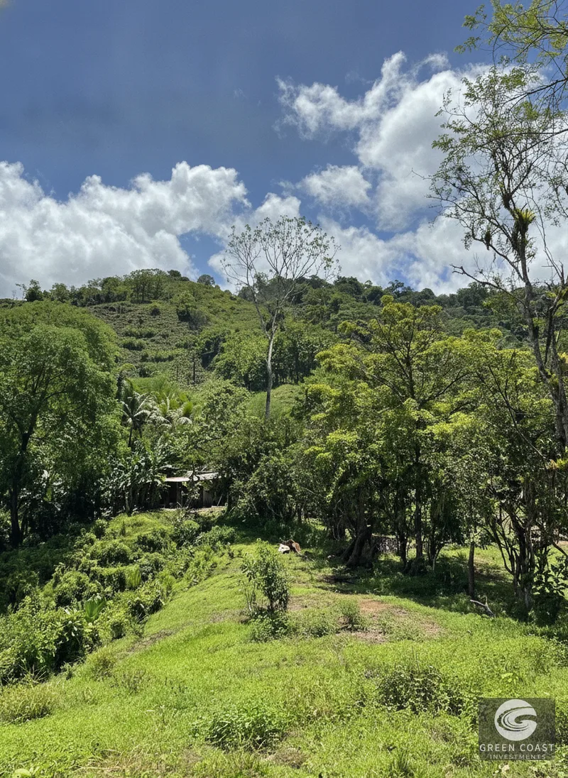 95-Acre Mountain Haven Near Hot Springs with Creeks and Panoramic Views — view 4, Savegre, Quepos, Costa Rica