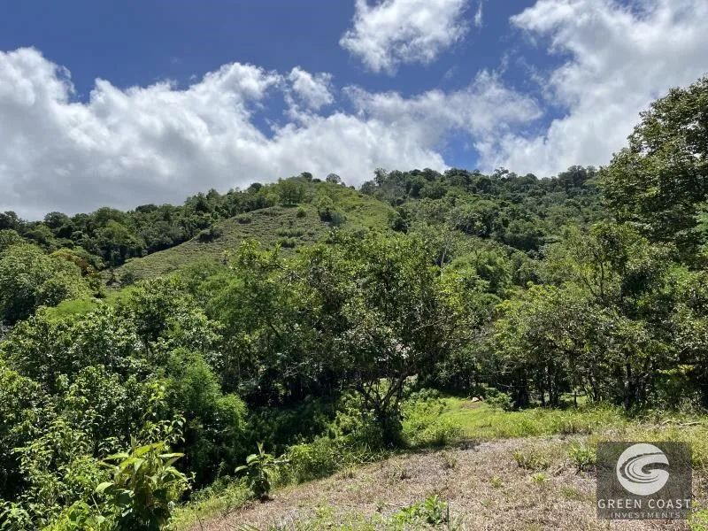 95-Acre Mountain Haven Near Hot Springs with Creeks and Panoramic Views — view 5, Savegre, Quepos, Costa Rica