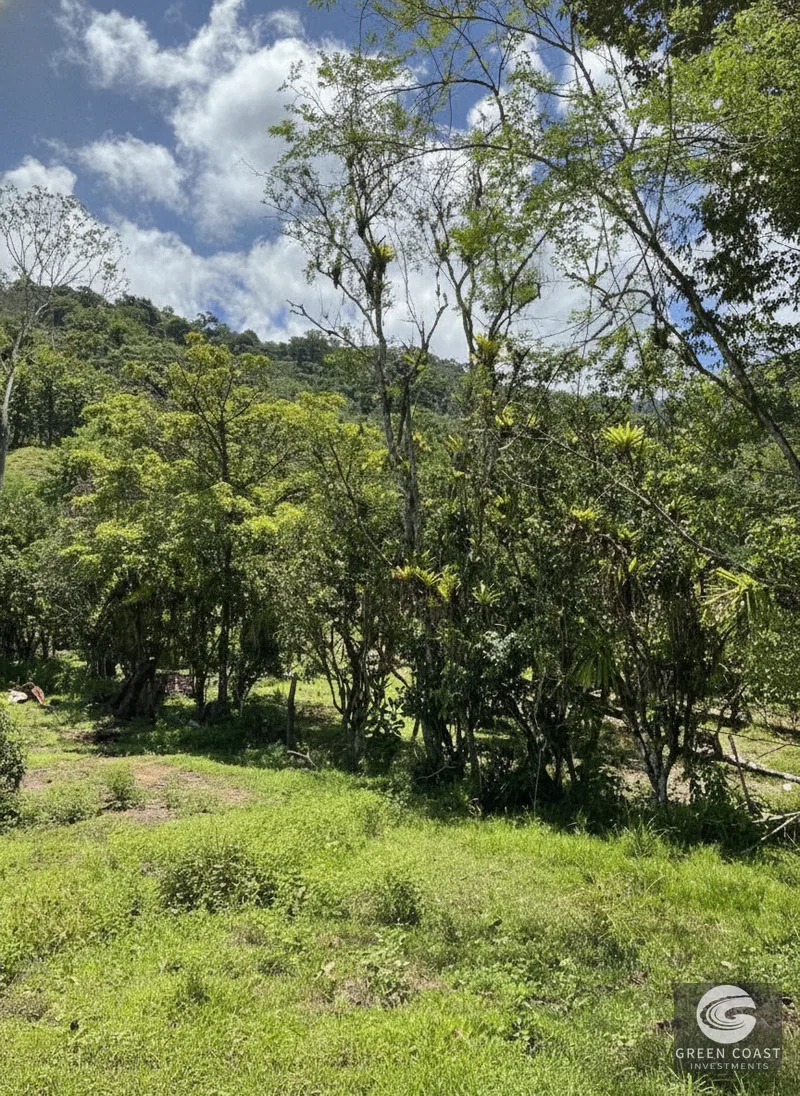 95-Acre Mountain Haven Near Hot Springs with Creeks and Panoramic Views — view 7, Savegre, Quepos, Costa Rica