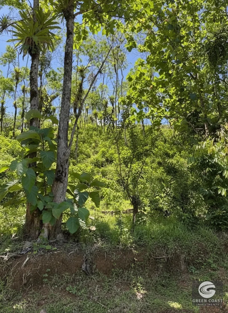 95-Acre Mountain Haven Near Hot Springs with Creeks and Panoramic Views — view 11, Savegre, Quepos, Costa Rica