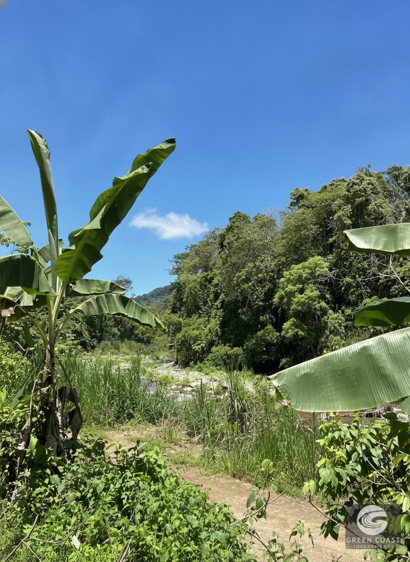 95-Acre Mountain Haven Near Hot Springs with Creeks and Panoramic Views — view 12, Savegre, Quepos, Costa Rica