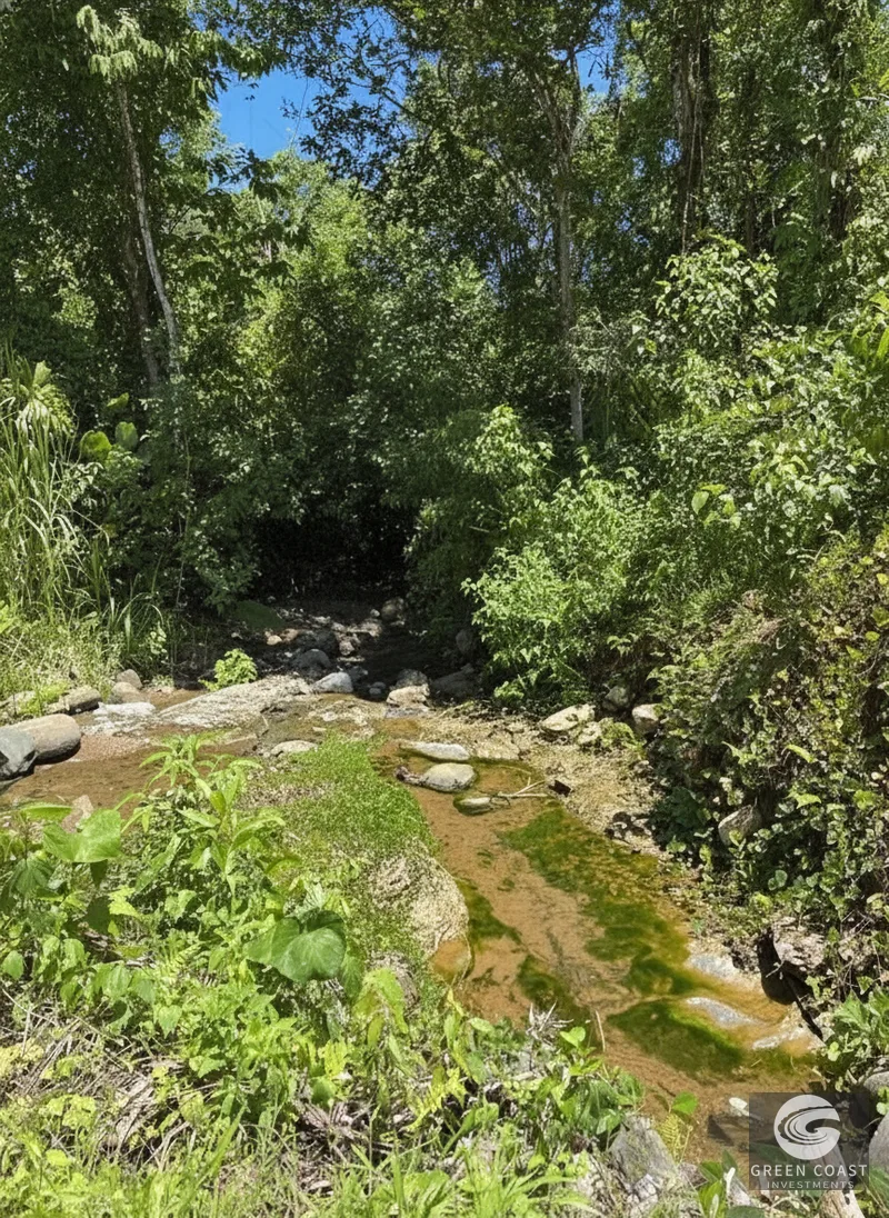 95-Acre Mountain Haven Near Hot Springs with Creeks and Panoramic Views — view 14, Savegre, Quepos, Costa Rica