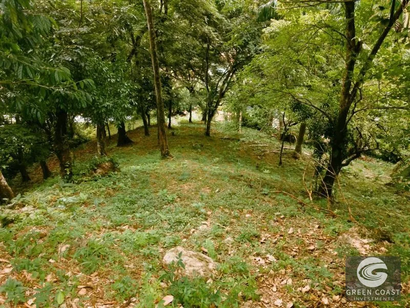 Prime Mixed-Use Development Lot on Manuel Antonio Main Road — view 6, Manuel Antonio, Quepos, Costa Rica