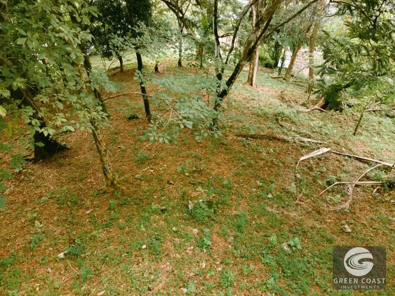 Prime Mixed-Use Development Lot on Manuel Antonio Main Road — view 7, Manuel Antonio, Quepos, Costa Rica