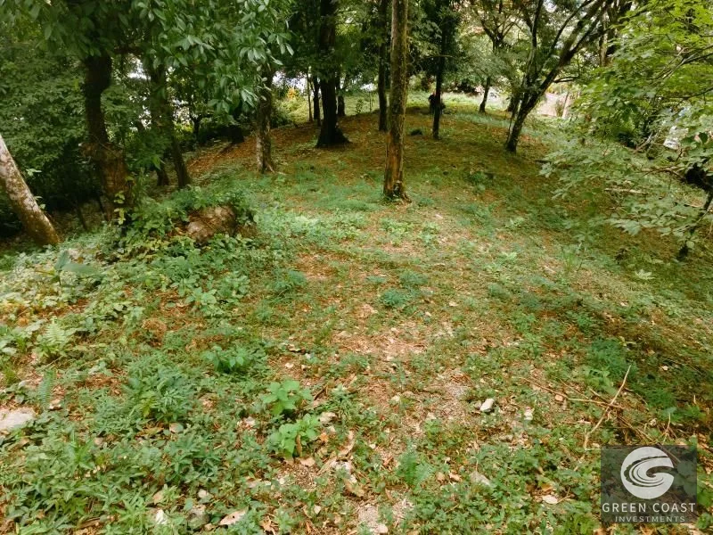 Prime Mixed-Use Development Lot on Manuel Antonio Main Road — view 10, Manuel Antonio, Quepos, Costa Rica