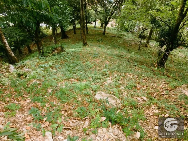 Prime Mixed-Use Development Lot on Manuel Antonio Main Road — view 11, Manuel Antonio, Quepos, Costa Rica