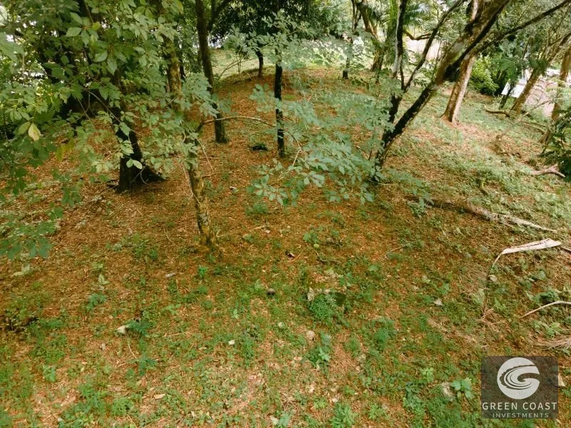 Prime Mixed-Use Development Lot on Manuel Antonio Main Road — view 12, Manuel Antonio, Quepos, Costa Rica