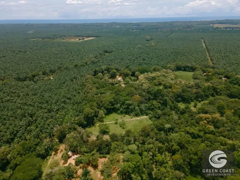 2-Hectare Ocean & Mountain View Estate Lot Near Marina Pez Vela — view 1, Quepos, Quepos, Costa Rica