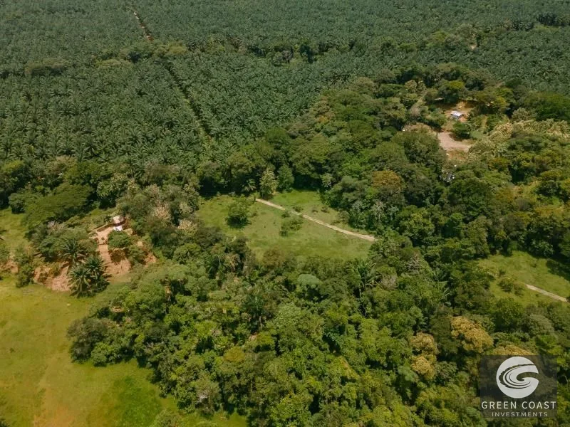 2-Hectare Ocean & Mountain View Estate Lot Near Marina Pez Vela — view 3, Quepos, Quepos, Costa Rica
