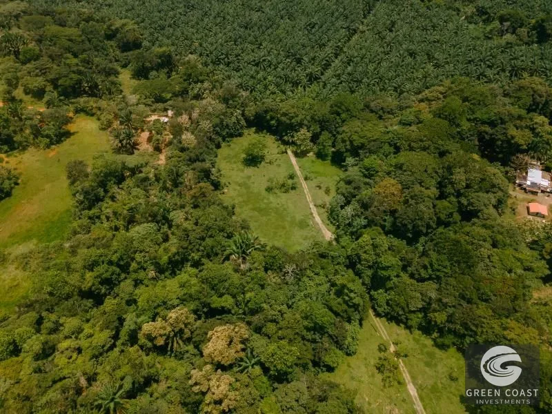 2-Hectare Ocean & Mountain View Estate Lot Near Marina Pez Vela — view 4, Quepos, Quepos, Costa Rica