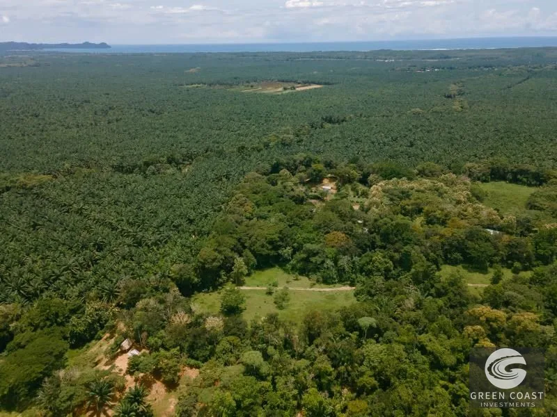 2-Hectare Ocean & Mountain View Estate Lot Near Marina Pez Vela — view 8, Quepos, Quepos, Costa Rica