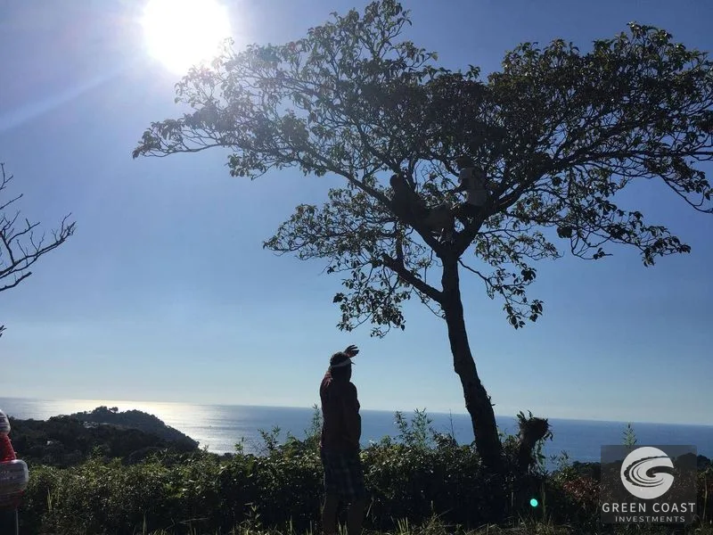 Premier 205-Acre Ocean-View Development Land in Manuel Antonio & Quepos — view 47, Quepos, Quepos, Costa Rica