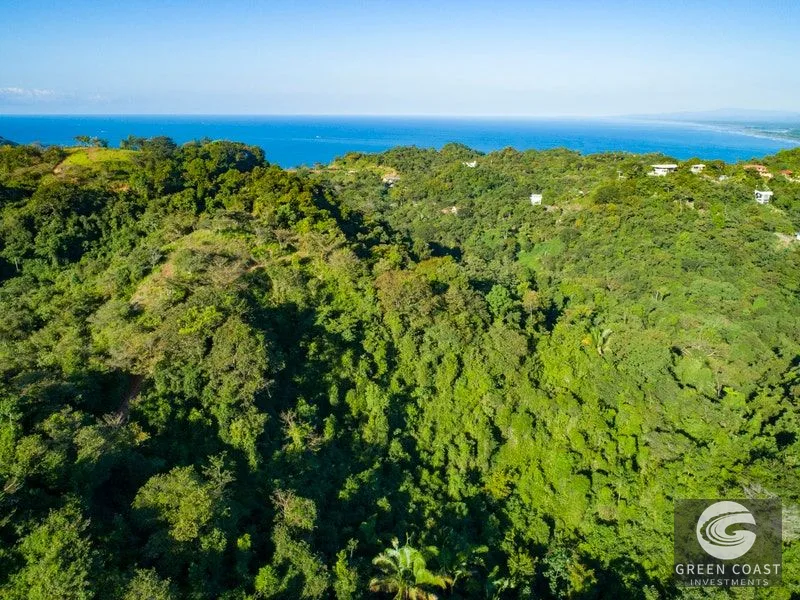 84-Hectare Ocean-View Development Land in Manuel Antonio — view 3, Manuel Antonio, Costa Rica