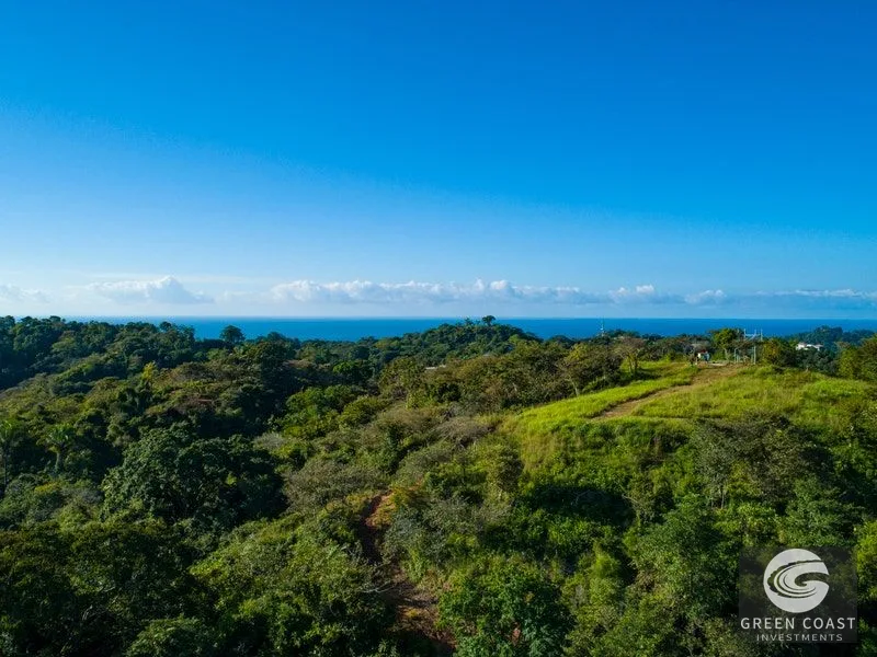 84-Hectare Ocean-View Development Land in Manuel Antonio — view 7, Manuel Antonio, Costa Rica
