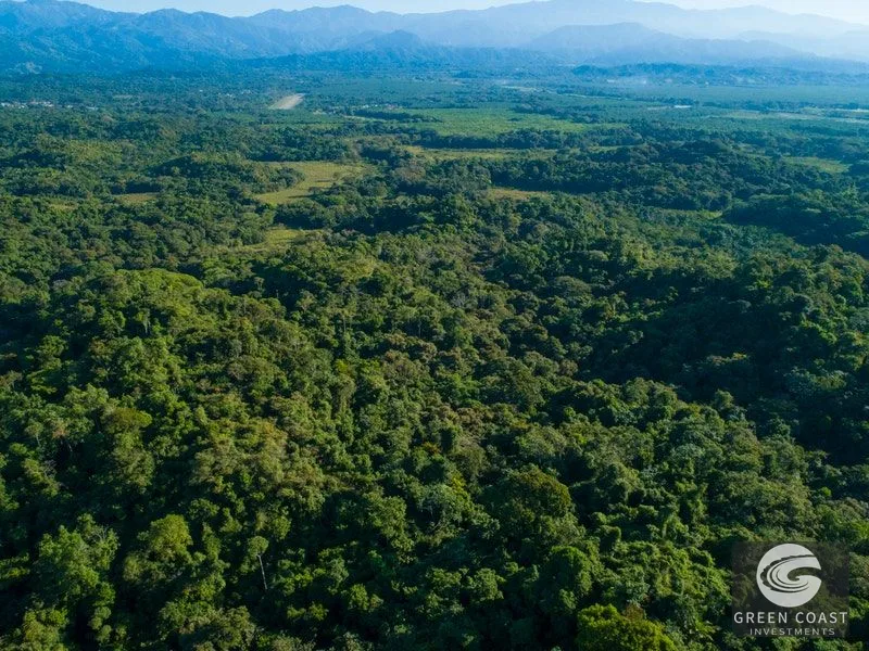 84-Hectare Ocean-View Development Land in Manuel Antonio — view 15, Manuel Antonio, Costa Rica