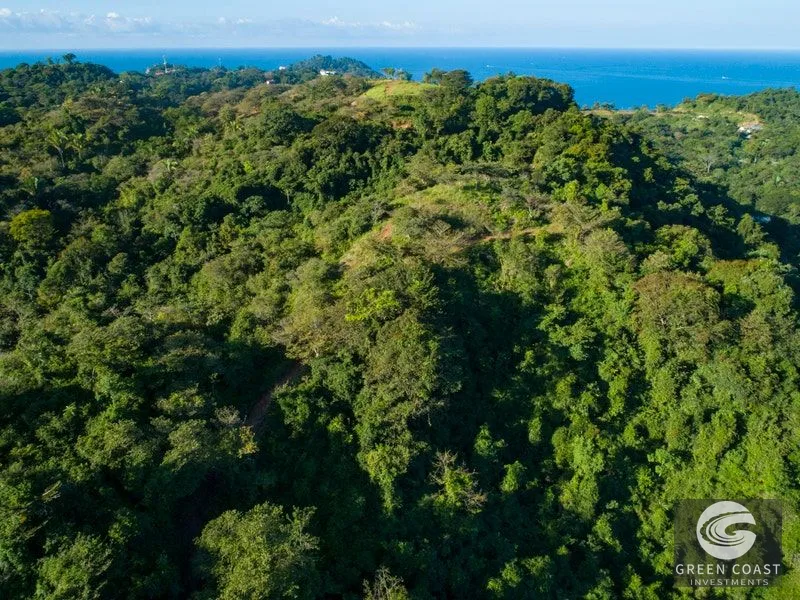84-Hectare Ocean-View Development Land in Manuel Antonio — view 16, Manuel Antonio, Costa Rica