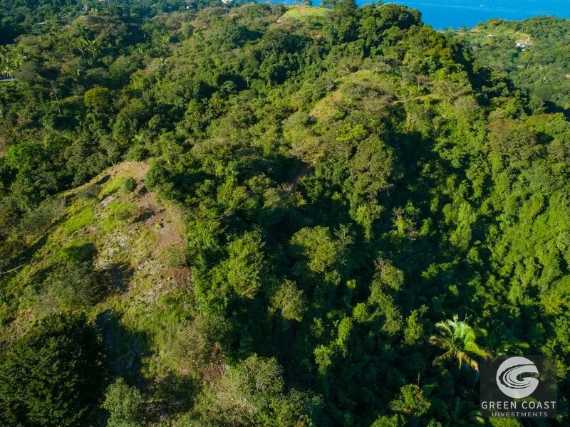 84-Hectare Ocean-View Development Land in Manuel Antonio — view 17, Manuel Antonio, Costa Rica