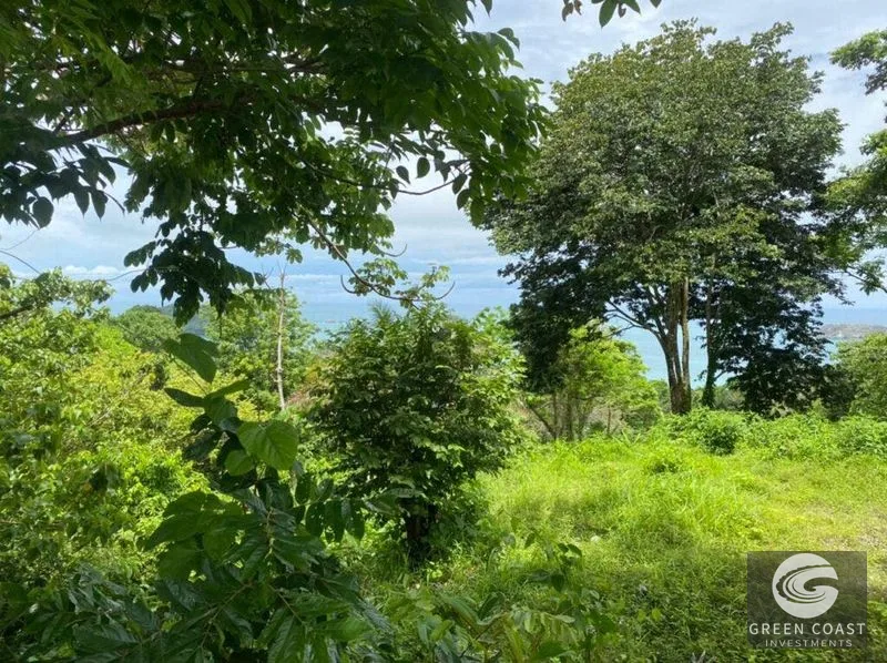 Manuel Antonio Ocean-View Development Land Next to National Park — view 5, Manuel Antonio, Costa Rica