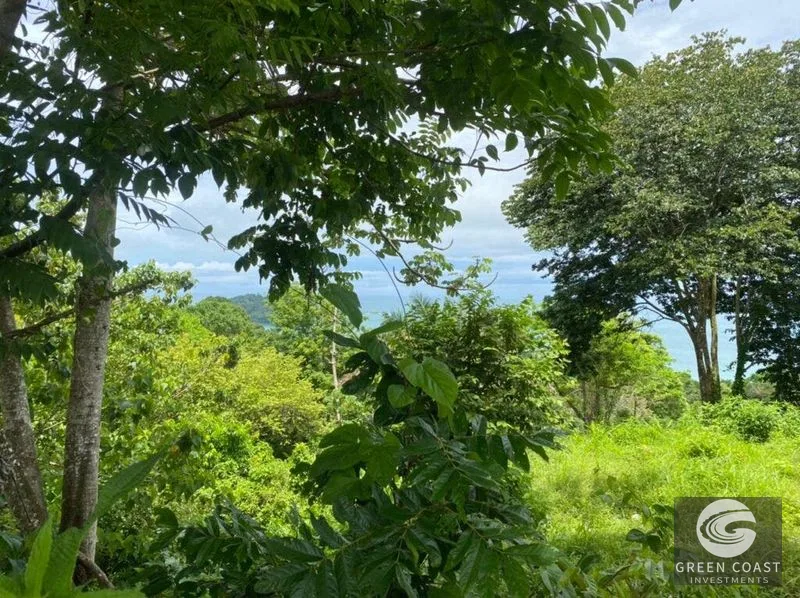 Manuel Antonio Ocean-View Development Land Next to National Park — view 6, Manuel Antonio, Costa Rica