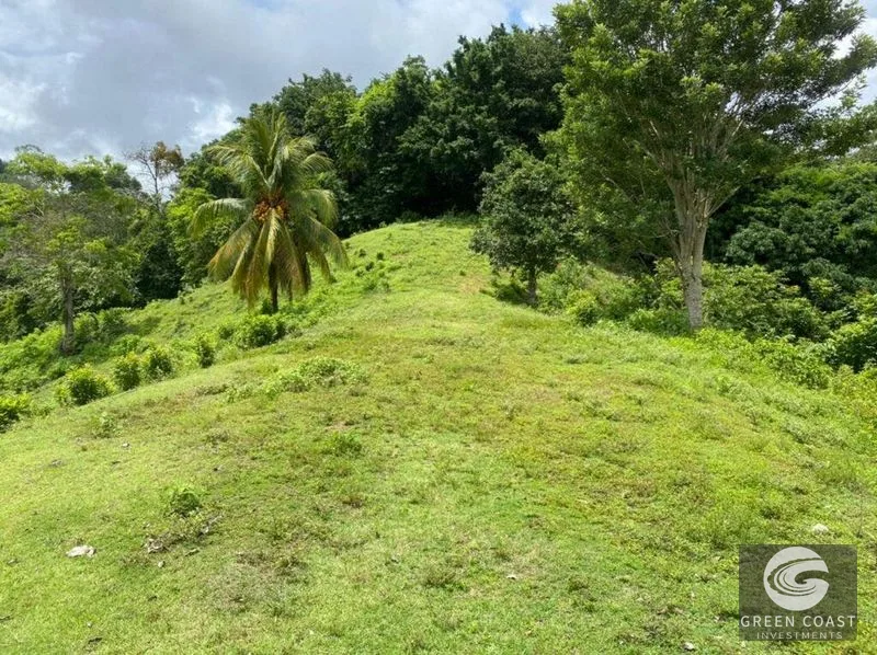 Manuel Antonio Ocean-View Development Land Next to National Park — view 7, Manuel Antonio, Costa Rica