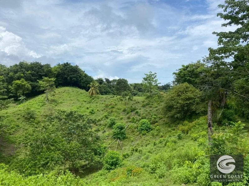 Manuel Antonio Ocean-View Development Land Next to National Park — view 8, Manuel Antonio, Costa Rica