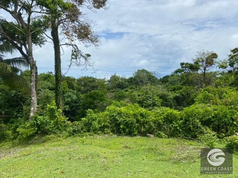 Manuel Antonio Ocean-View Development Land Next to National Park — view 10, Manuel Antonio, Costa Rica