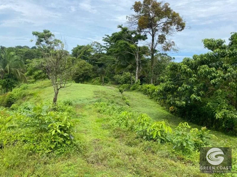 Manuel Antonio Ocean-View Development Land Next to National Park — view 11, Manuel Antonio, Costa Rica