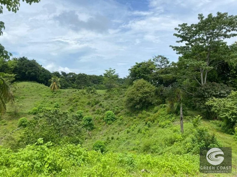 Manuel Antonio Ocean-View Development Land Next to National Park — view 12, Manuel Antonio, Costa Rica