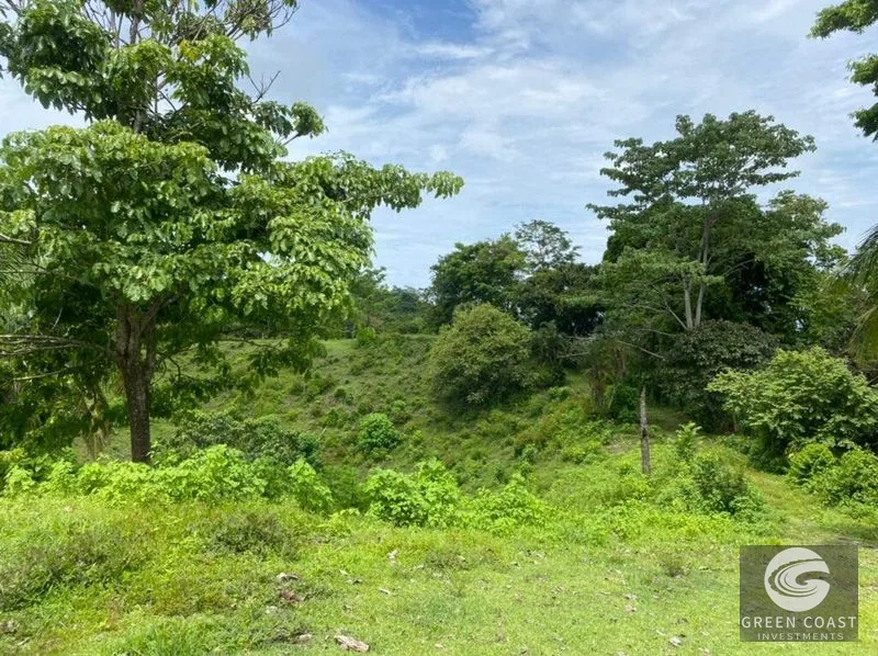 Manuel Antonio Ocean-View Development Land Next to National Park — view 15, Manuel Antonio, Costa Rica