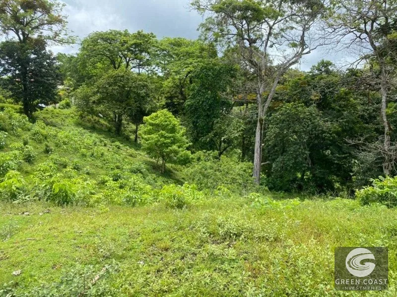Manuel Antonio Ocean-View Development Land Next to National Park — view 17, Manuel Antonio, Costa Rica