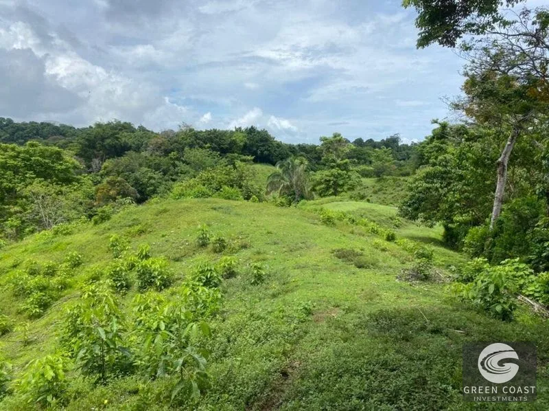 Manuel Antonio Ocean-View Development Land Next to National Park — view 19, Manuel Antonio, Costa Rica
