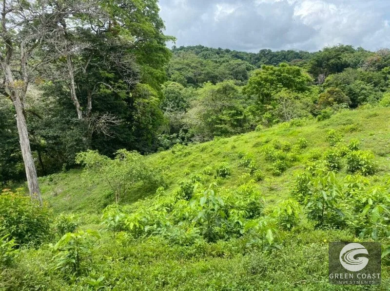 Manuel Antonio Ocean-View Development Land Next to National Park — view 20, Manuel Antonio, Costa Rica
