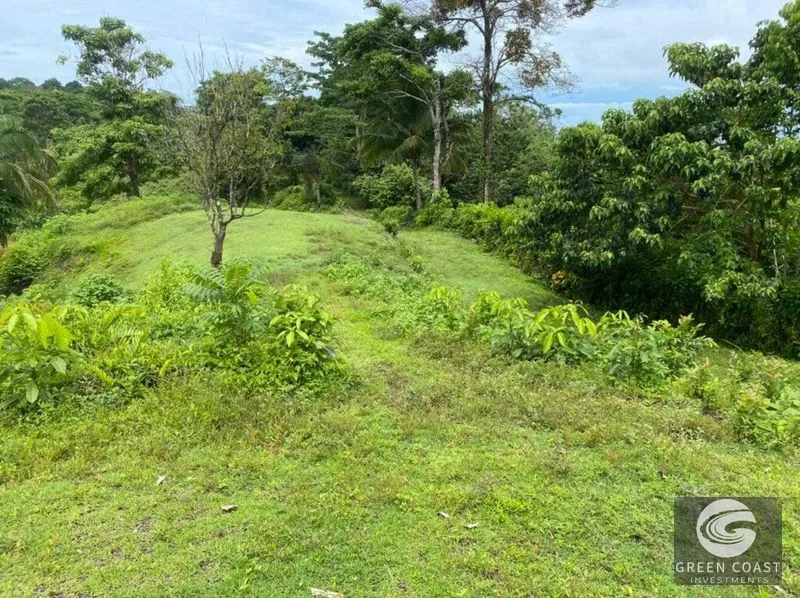 Manuel Antonio Ocean-View Development Land Next to National Park — view 21, Manuel Antonio, Costa Rica