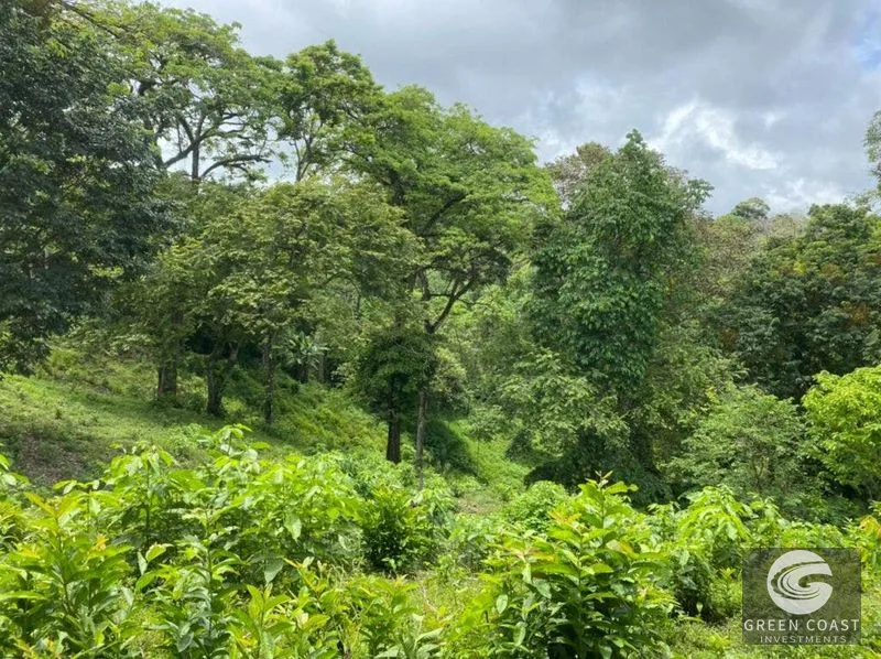 Manuel Antonio Ocean-View Development Land Next to National Park — view 22, Manuel Antonio, Costa Rica