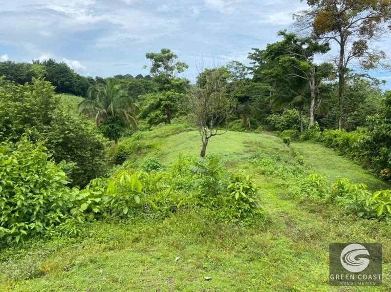 Manuel Antonio Ocean-View Development Land Next to National Park — view 23, Manuel Antonio, Costa Rica