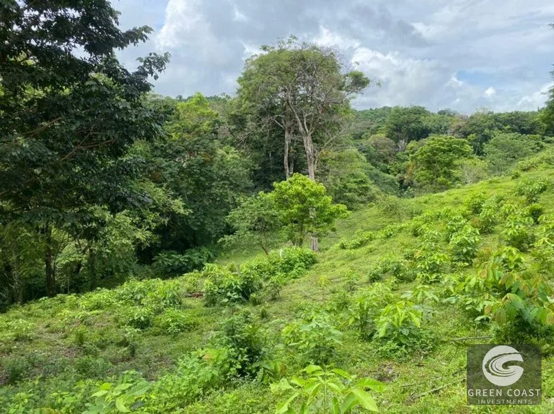 Manuel Antonio Ocean-View Development Land Next to National Park — view 24, Manuel Antonio, Costa Rica