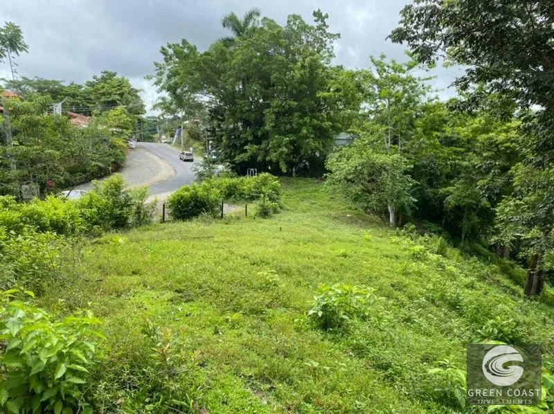 Manuel Antonio Ocean-View Development Land Next to National Park — view 25, Manuel Antonio, Costa Rica