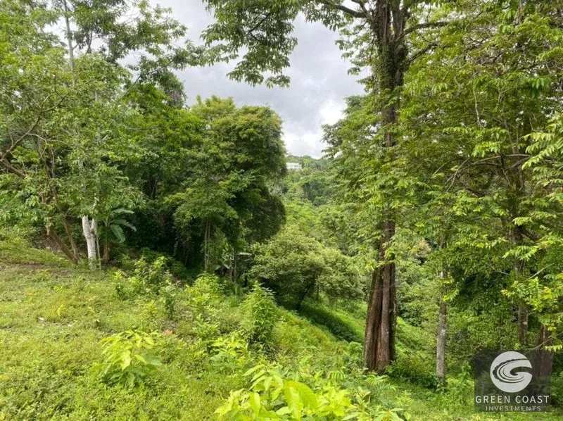 Manuel Antonio Ocean-View Development Land Next to National Park — view 26, Manuel Antonio, Costa Rica