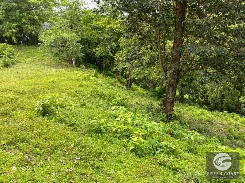 Manuel Antonio Ocean-View Development Land Next to National Park — view 27, Manuel Antonio, Costa Rica