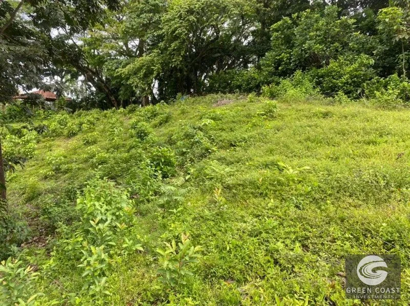 Manuel Antonio Ocean-View Development Land Next to National Park — view 29, Manuel Antonio, Costa Rica