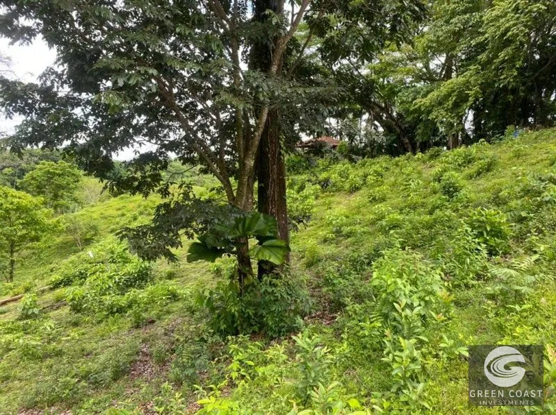 Manuel Antonio Ocean-View Development Land Next to National Park — view 30, Manuel Antonio, Costa Rica