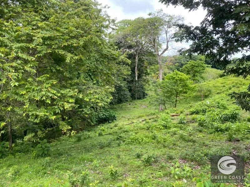 Manuel Antonio Ocean-View Development Land Next to National Park — view 31, Manuel Antonio, Costa Rica