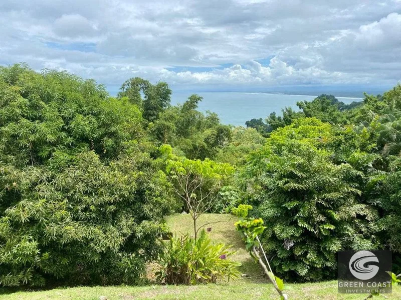 Manuel Antonio Ocean-View Development Land Next to National Park — view 33, Manuel Antonio, Costa Rica