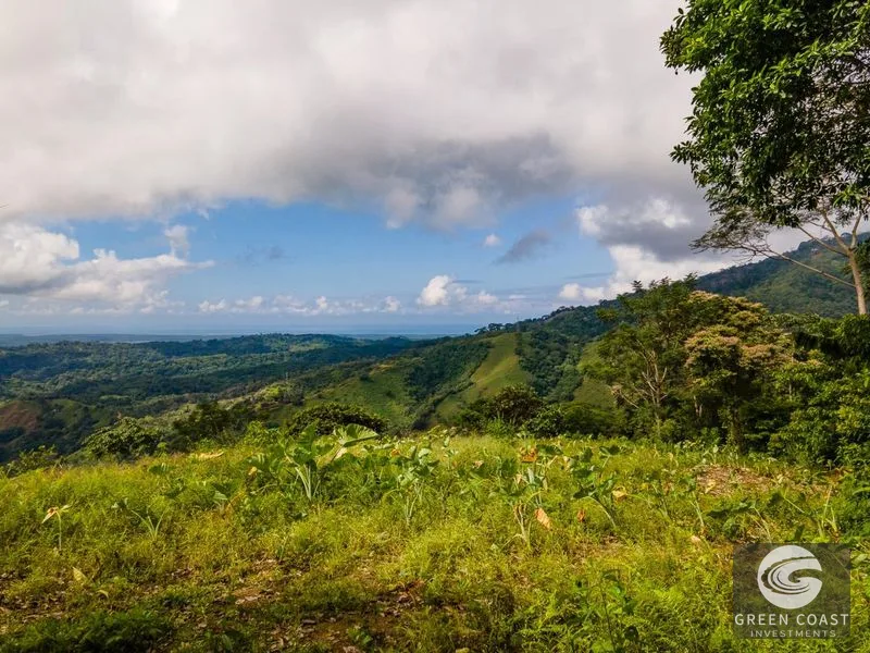138-Acre Ocean-View Development Land with Waterfalls & River Frontage in Osa — view 1, Cortez, Osa, Costa Rica