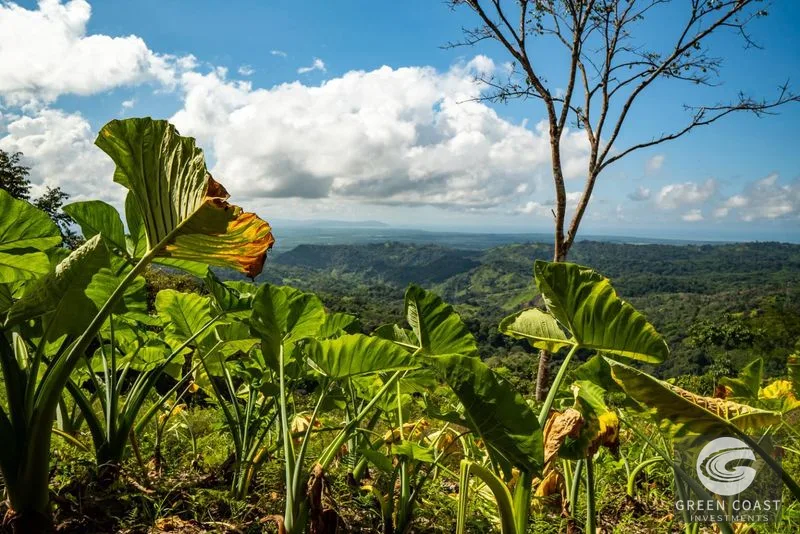 138-Acre Ocean-View Development Land with Waterfalls & River Frontage in Osa — view 20, Cortez, Osa, Costa Rica