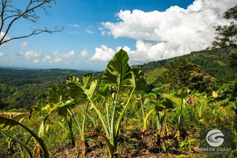 138-Acre Ocean-View Development Land with Waterfalls & River Frontage in Osa — view 21, Cortez, Osa, Costa Rica
